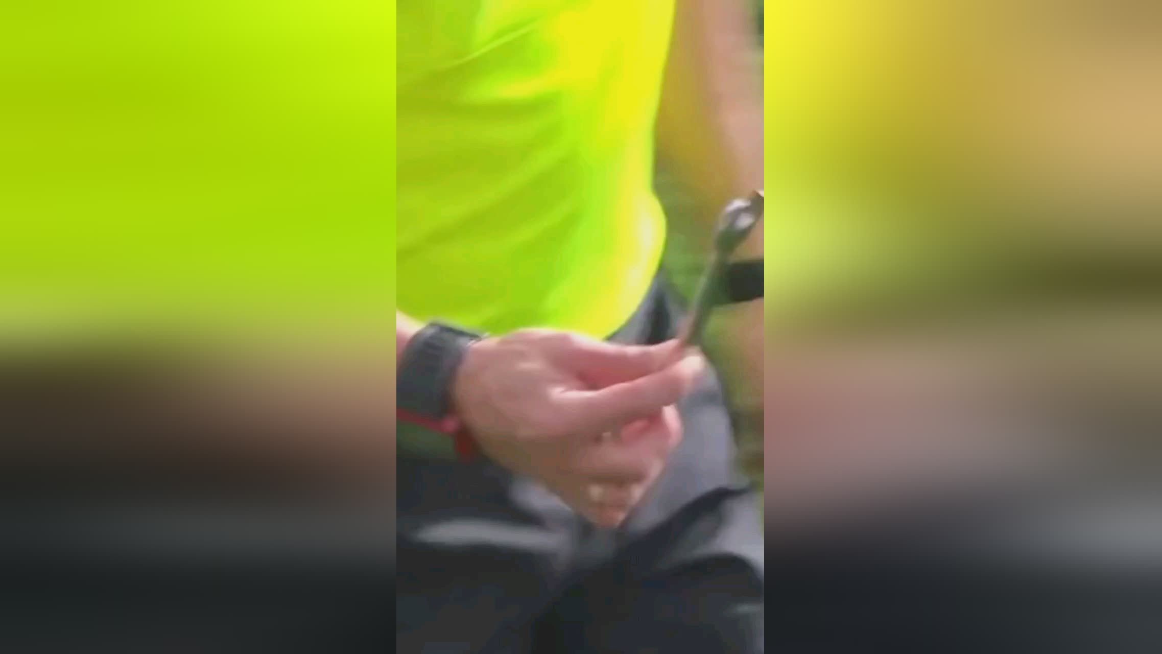 的未来表